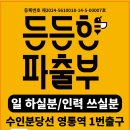 든든한파출부광교
