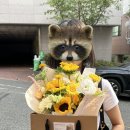 당신에게전해질꽃 이미지