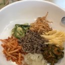 돌고래농장 | 시드니 포트스테판투어에서 돌고래랑 코알라보고 온 후기