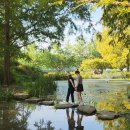 스튜디오 월영 | [엄마랑 안동여행]초보 운전자 1박 2일 안동여행 일정,추천코스_25.08.30~31