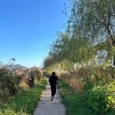 순천만 천문대 화장실 | 뚜벅이 순천여행코스[순천만국가정원, 남도밥상, 브루웍스, 순천만습지]
