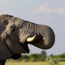 상아무역 이미지