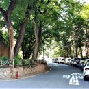 왕산로19길 이미지