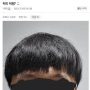 헤어갤러리 Daum카페