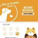 골드퍼피 애견유치원 이미지