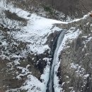 부안 짱아 이미지