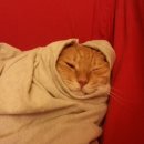 한우암소농장 이미지