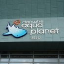 제주산방산탄산온천 이미지