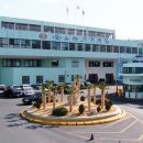 부산공동어시장 이미지