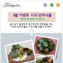 커피에빠진장풍이