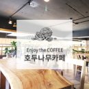 카페파이나무