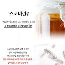 오라라 | 오라라 콤부차 4종 솔직 후기｜프랑스 유기농 비건 저칼로리 탄산 음료 추천