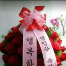쎄느 이미지