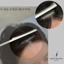 김정화헤어라인 티스토리