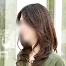 다모란 이미지