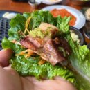 매일고기 이미지