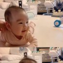보이핑크