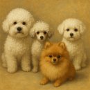 예뻐지개 | 양천구‘예뻐지개’애견샵 양천구애견미용