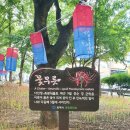 성경종합정비 이미지