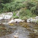 또올래캠핑장 이미지