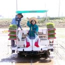 안성시장 이미지