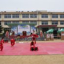 충북진천 강호합기도 - 진천고등학교 동문체육대회 강호합기도 축하 시범공연 이미지