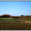 모슬포약국 이미지