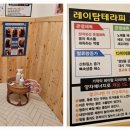 아라핏 네이버블로그