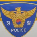 테이저