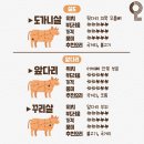 소고기 부위명칭&특징 이미지