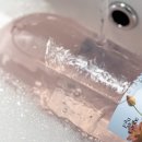 카리브 | 탈모샴푸 고민 끝냈습니다, 맥주효모샴푸 오드카리브로 두피관리 바꾼 후기