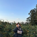 봉구수밥버거청평정 | [2022.12.11-12] 일기, 제주여행(2)