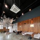 카페블루그린 이미지