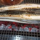 장어세상 이미지