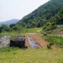 신읍리농장