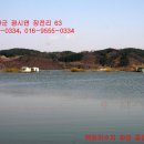 광시면016 Daum카페