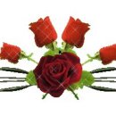 평택-W-011 이미지