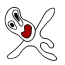 블루스팟 이미지