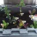 나주스티로폼 이미지