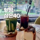 삼은길 | 서울 근교 드라이브 안성 고삼저수지 호수뷰 카페, 삼은 40