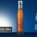 하베스헤어 이미지