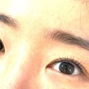 미사속눈썹 미사 에스터치 브로우 속눈썹펌 후기