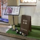 [명지대] 명지대맛집 명지전문대맛집 남가좌동맛집 라라유부 명지대 본점