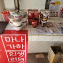거북이안경 | 사이판 마나가하섬 패러세일링 거북이 호핑투어 자유여행 최저가 패키지 할인 총정리 🌊🐢✈️