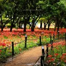 불갑사 관광안내소 이미지