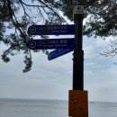 노인회관 건너편 횡단보도 | 서해랑길 24코스(역방향, 매당노인회관~물암리버스정류장~홀통유원지~봉오제버스정류장)