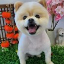 오순독순 이미지