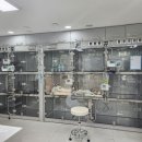 푸른동물병원 이미지