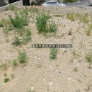 월영동170 이미지