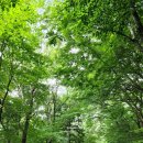 아우라지 자연농원 이미지